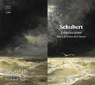 Franz Schubert - Lebensstürme-Werke für Klavier vierhändig (Audio book)