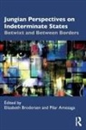 Pilar Amezaga, Elizabeth Brodersen, Elizabeth (C. G. Jung Institute Brodersen, Pilar Amezaga, Elizabeth Brodersen - Jungian Perspectives on Indeterminate States
