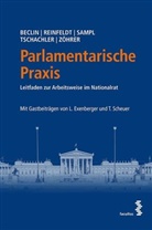 Barbar Beclin, Barbara Beclin, Sebastian Reinfeld, Sebastia Reinfeldt, Sebastian Reinfeldt, Cle Sampl... - Parlamentarische Praxis