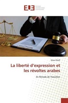 Kmar Eltaifi - La liberté d'expression et les révoltes arabes