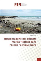 Tomasz Kalak - Responsabilité des déchets marins flottant dans l'océan Pacifique Nord