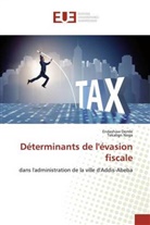 Endashaw Demle, Tekalign Nega - Déterminants de l'évasion fiscale