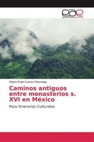 Miguel Ángel Cuevas Olascoaga - Caminos antiguos entre monasterios s. XVI en México