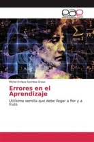 Michel Enrique Gamboa Graus - Errores en el Aprendizaje