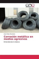 Anant Babu Marahatta - Corrosión metálica en medios agresivos