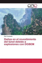 Petr Prochazka - Daños en el revestimiento del túnel debido a explosiones con DGBEM