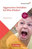 Wolfgang Bergmann - Die kleinen Hefte: Aggressives Verhalten bei Kita-Kindern