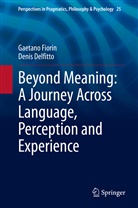 Denis Delfitto, Gaetan Fiorin, Gaetano Fiorin - Beyond Meaning: A Journey Across Language, Perception and Experience