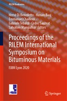 Hassa Baaj, Hassan Baaj, Emmanuel Chailleux, Emmanuel Chailleux et al, Hervé Di Benedetto, Salvatore Mangiafico... - Proceedings of the RILEM International Symposium on Bituminous Materials, 2 Teile