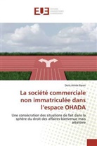 Doris Aimée Baran - La société commerciale non immatriculée dans l'espace OHADA
