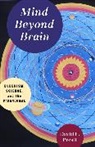 David Presti - Mind Beyond Brain