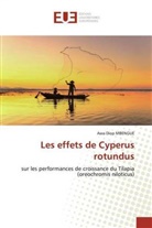 Awa Diop MBENGUE - Les effets de Cyperus rotundus