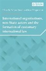 Sufyan D''''aspremont Droubi, Jean d'Aspremont, Sufyan Droubi, Droubi Sufyan - International Organisations, Non State Actors, and the Formation of