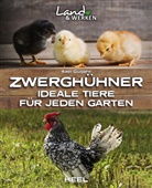 Axel Gutjahr - Zwerghühner: Ideale Tiere für jeden Garten