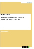 Stephan Schulz - Die Vernetzung zwischen Banken in Europa. Too connected to fail?