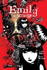 Brian Brooks, Jessica Gruner, Ryan Hill, Buzz Parker, Rob Reger, Rob Gruner Reger... - The Complete Emily the Strange: All Things Strange