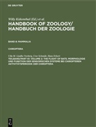 Hans Erkert, Ulla M. Lindhe Norberg, Uwe Schmidt, Willy Kükenthal, Andreas Schmidt-Rhaesa - Handbook of Zoology / Handbuch der Zoologie. Mammalia. Chiroptera - Band 8. Teilband/Part 61: Volume 2: The Flight of Bats. Morphologie und Funktion der sensorischen Systeme bei Chiropteren Aktivitätsperiodik der Chiroptera