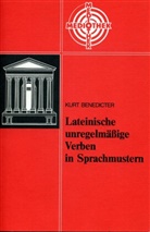 Kurt Benedicter, Dr. Karl Bayer, Dr. Gerhard Fink, Friedrich Maier, Prof.Dr. Friedrich Maier - Lateinische unregelmässige Verben in Sprachmustern