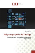 Rajesh Kumar, Sneh Rachna - Stéganographie de l'image