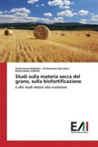 Muhammad Abdullah, Muhammad Aqil Khan, Muhammad Zulkiffal - Studi sulla materia secca del grano, sulla biofortificazione