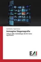 Rajesh Kumar, Sneh Rachna - Immagine Steganografia
