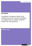 Hluf Negash - Calculation of magnetic dipole decay widths between two mesons containing two different heavy quarks within the framework of BS approach
