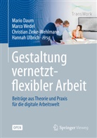 Mario Daum, Hannah Ulbrich, Marc Wedel, Marco Wedel, Christian Zinke-wehlmann, Christian Zinke-Wehlmann u a - Gestaltung vernetzt-flexibler Arbeit