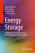 Manue Bailera, Manuel Bailera, Pila Lisbona, Pilar Lisbona, Begoña Peña, Begoña et al Peña... - Energy Storage