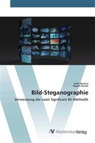 Rajesh Kumar, Sne Rachna, Sneh Rachna - Bild-Steganographie