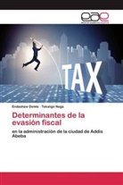 Endashaw Demle, Tekalign Nega - Determinantes de la evasión fiscal