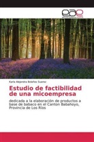 Karla Alejandra Bolaños Suarez - Estudio de factibilidad de una micoempresa