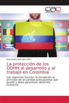Elvis Andrés Ruiz Viera, Elvis Andrés Ruiz Viera - La protección de los DDHH al desarrollo y al trabajo en Colombia