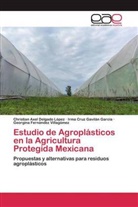 Christian Axel Delgado López, Georgina Fernández Villagómez, Irma Cruz Gavilán García - Estudio de Agroplásticos en la Agricultura Protegida Mexicana