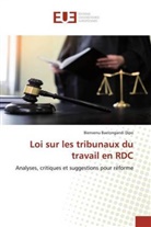 Bienvenu Baelongandi Dipo - Loi sur les tribunaux du travail en RDC