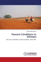 Damtie Asfaw Derso - Peasant Conditions in Ethiopia