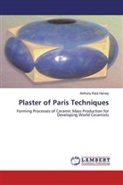 Anthony Reid Harvey - Plaster of Paris Techniques