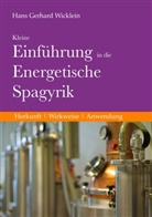 Hans Gerhard Wicklein - Kleine Einführung in die Energetische Spagyrik