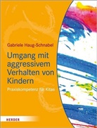 Gabriele Haug-Schnabel - Umgang mit aggressivem Verhalten von Kindern