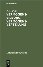 Peter Pulte - Vermögensbildung, Vermögensverteilung