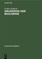 Eckhart Buddecke - Grundriss der Biochemie