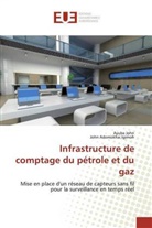 John Adomokhai Igimoh, Ayuba John - Infrastructure de comptage du pétrole et du gaz
