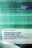 Carlos André Prauchner - Pathogenesis of delta-aminolevulinic acid-accumulating porphyrias