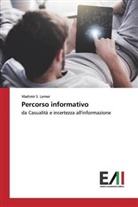 Vladimir S. Lerner - Percorso informativo
