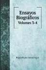 Miguel Luis Amunátegui - Ensayos Biográficos