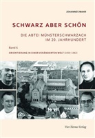 Johannes Mahr - Schwarz aber schön - Die Abtei Münsterschwarzach im 20. Jahrhundert. Bd.6