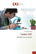 Youssef EL Yadari - Yadari SVT