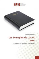 Andrew Tikhomirov - Les évangiles de Luc et Jean