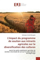 Darlington Arnold Mangaba - L'impact du programme de soutien aux intrants agricoles sur la diversification des cultures