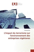Chinenye Kalu - L'impact du terrorisme sur l'environnement des entreprises nigérianes