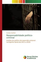 Carolina Castilholi - Responsabilidade político-criminal
